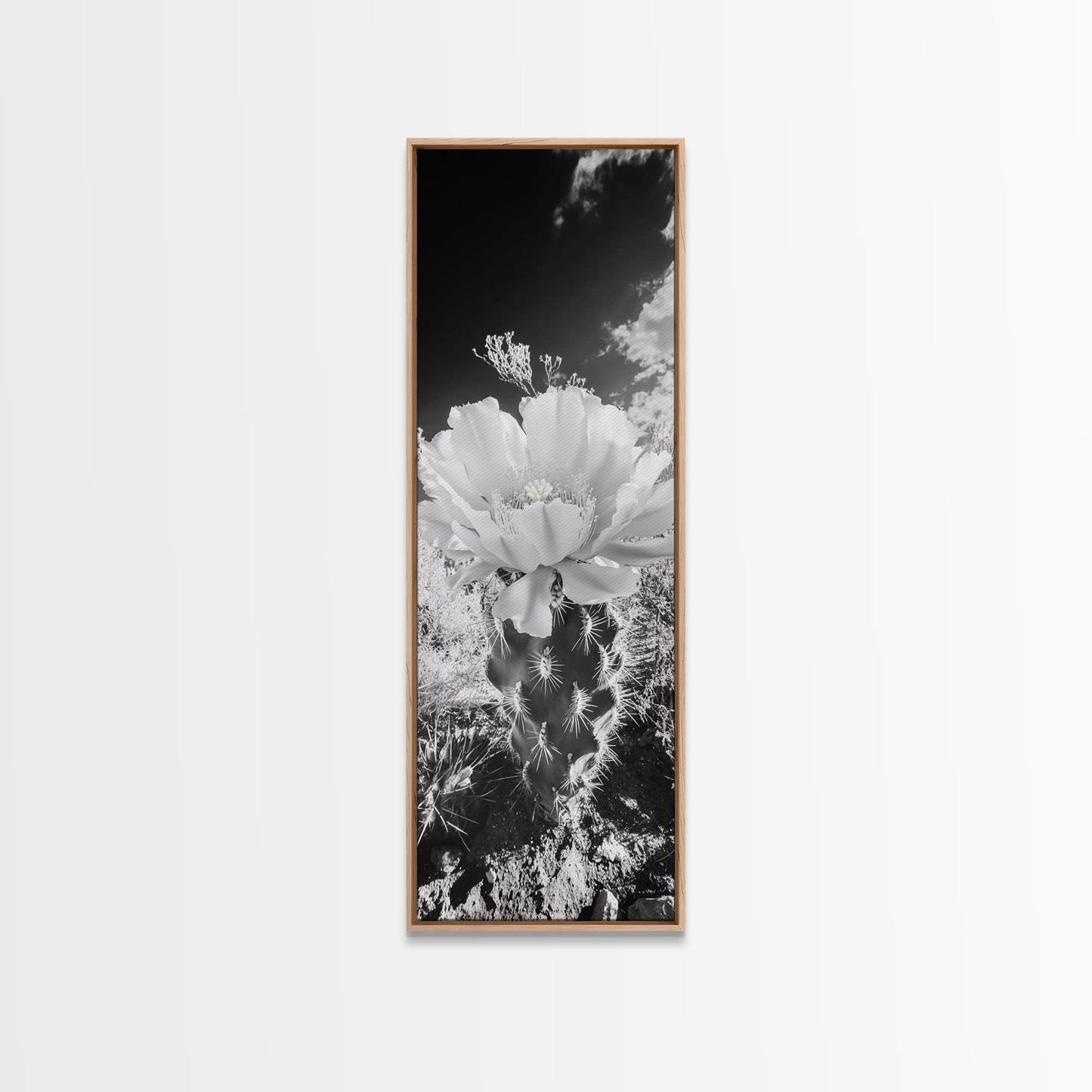 Desert Bloom Cactus, Southwest Art, Nature Floral Print, Cactus Photography, Framed Canvas Print, Kitchen Wall Art, Boho Wall Decor