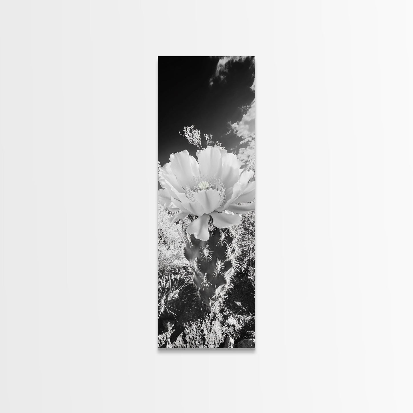Desert Bloom Cactus, Southwest Art, Nature Floral Print, Cactus Photography, Framed Canvas Print, Kitchen Wall Art, Boho Wall Decor