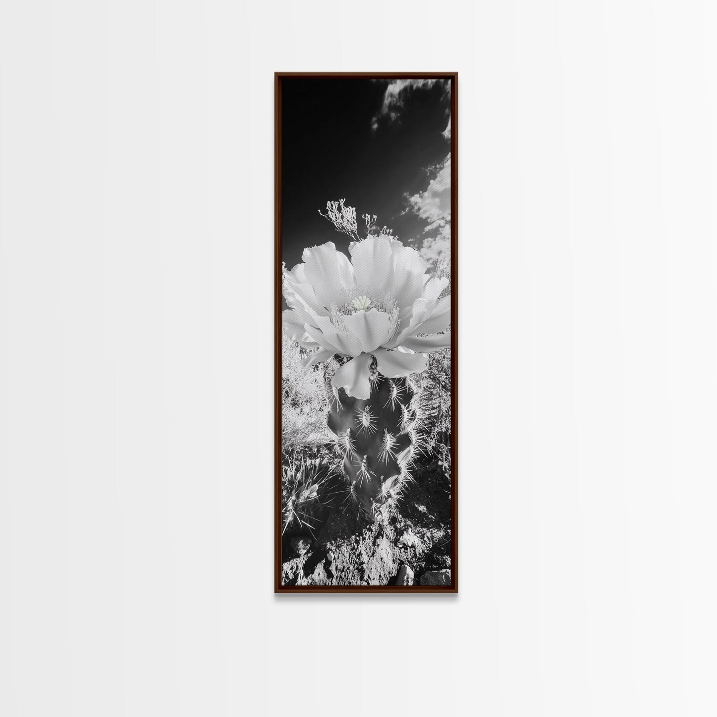 Desert Bloom Cactus, Southwest Art, Nature Floral Print, Cactus Photography, Framed Canvas Print, Kitchen Wall Art, Boho Wall Decor