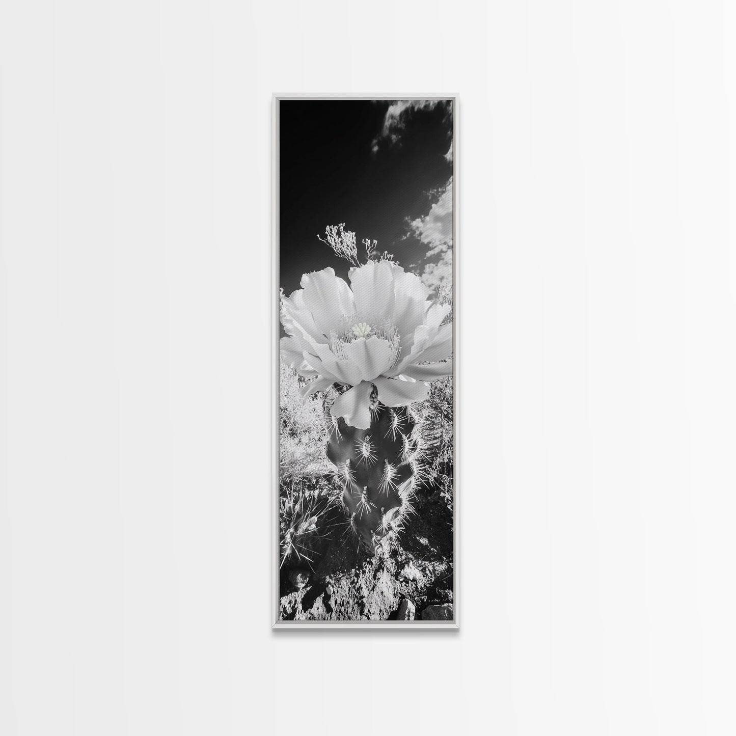 Desert Bloom Cactus, Southwest Art, Nature Floral Print, Cactus Photography, Framed Canvas Print, Kitchen Wall Art, Boho Wall Decor