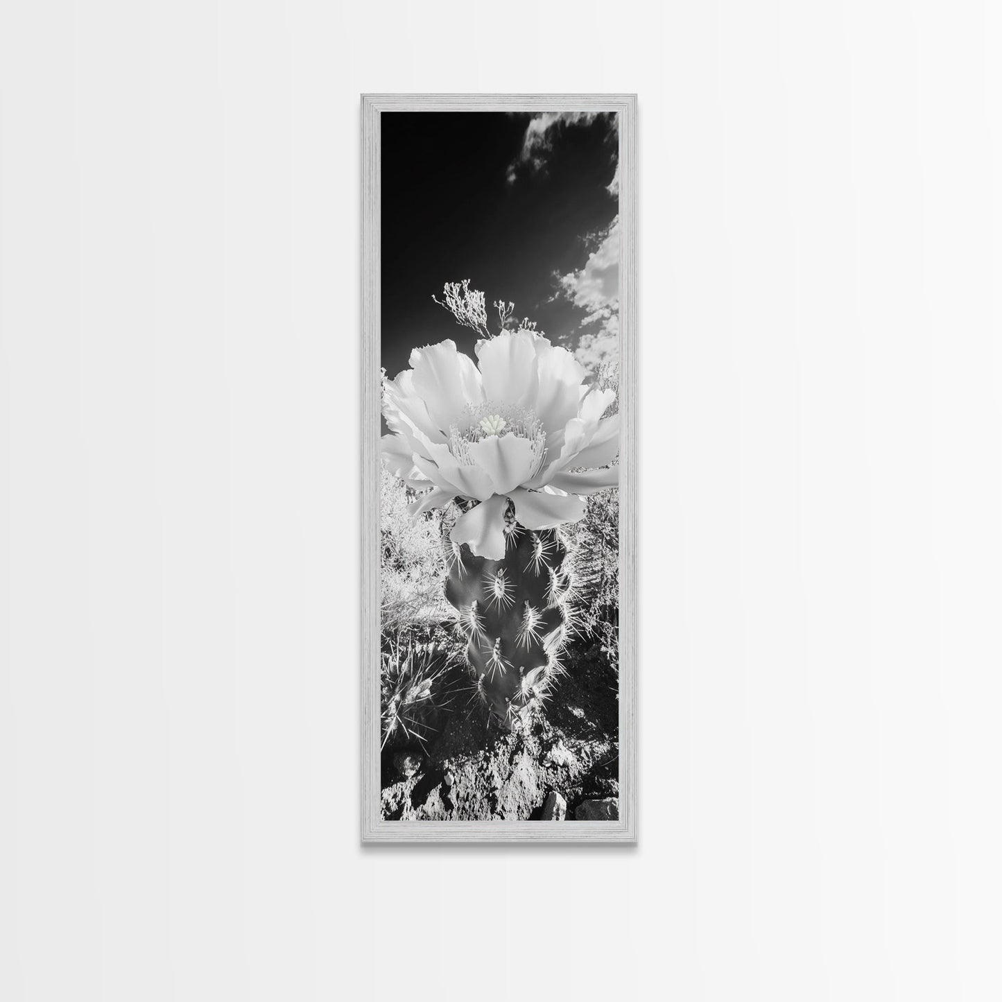 Desert Bloom Cactus, Southwest Art, Nature Floral Print, Cactus Photography, Framed Canvas Print, Kitchen Wall Art, Boho Wall Decor