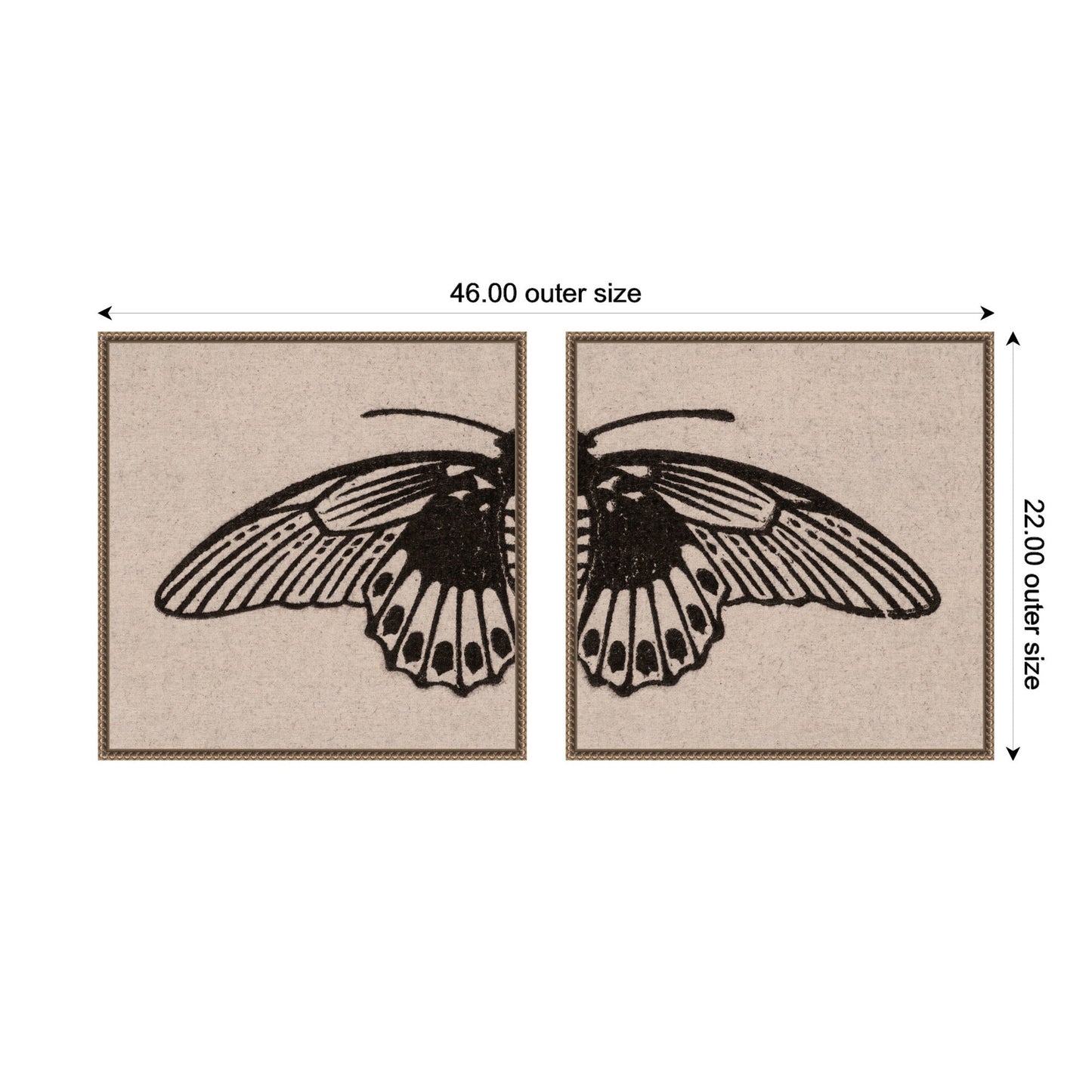 Vlinder 1901 Julie de Graag No. 1 & No. 2 2 Piece Framed Canvas Wall Art Set by Nostalgia Prints