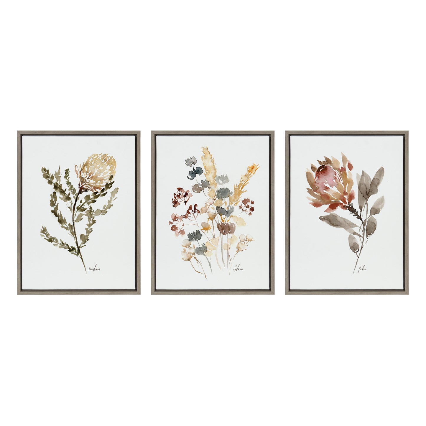 Sylvie Wild Banksia Wild Salvia and Wild King Protea Framed Canvas by Sara Berrenson