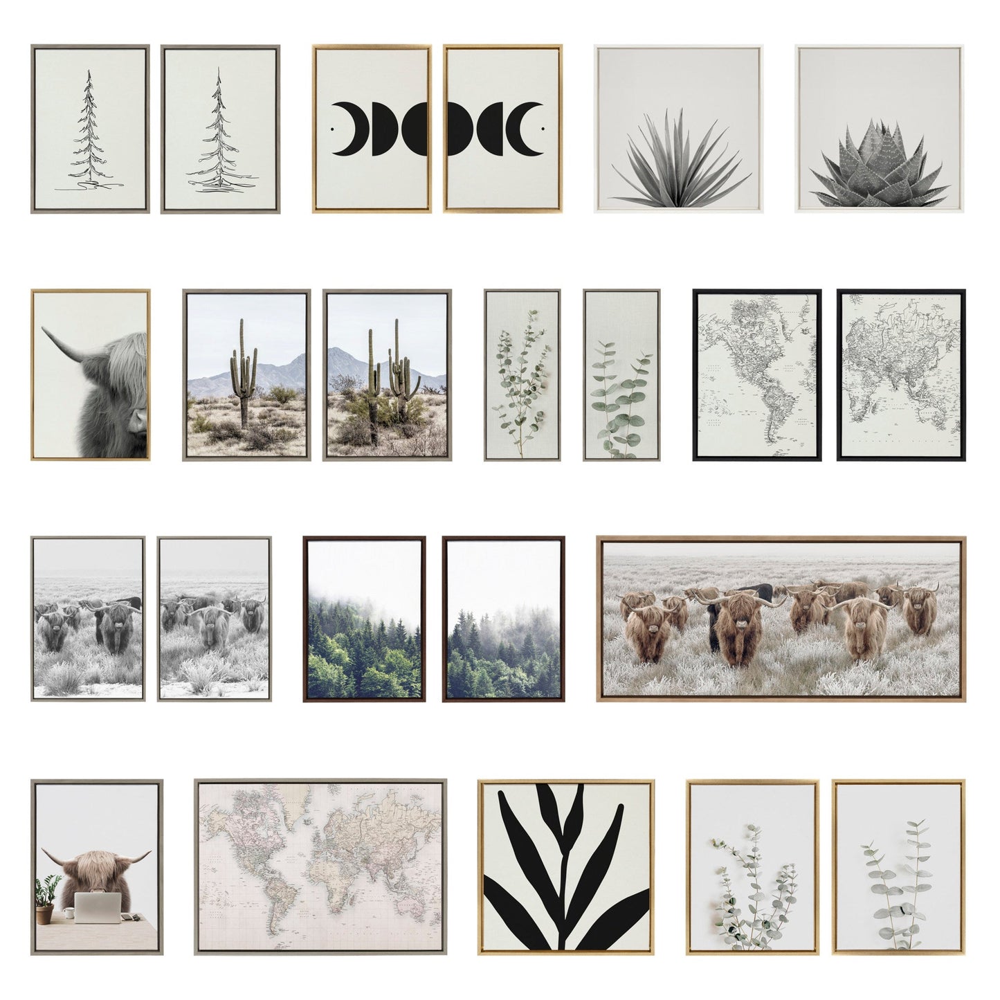 Sylvie Haze Aloe Succulent, Cactus Tall, Cactus Short and Agave Succulent Framed Canvas Art Set by The Creative Bunch Studio